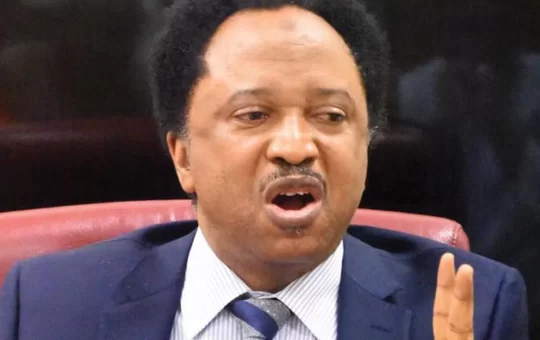 Ministerial list: Nigerians expected Tinubu to appoint miracle-working technocrats – Shehu Sani